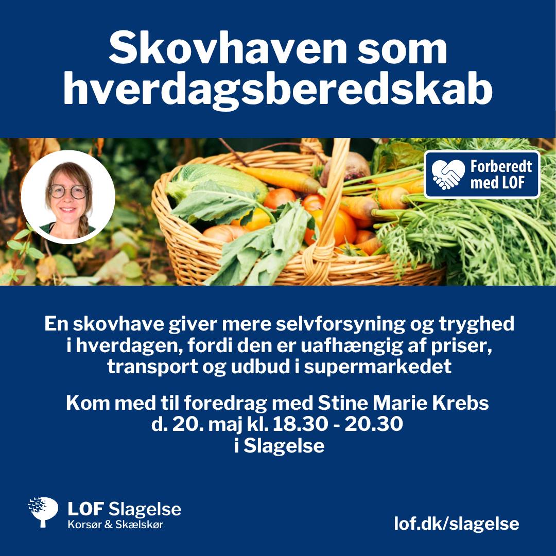 LOF Slagelse - Korsør - Skælskør Facebook ad