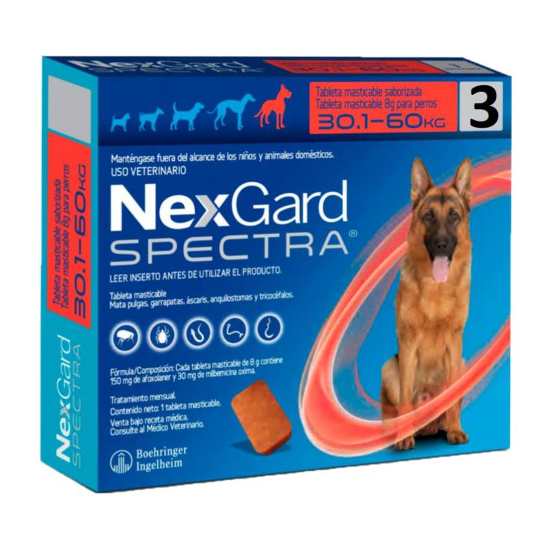 Myhomepetcl Facebook ad: ¡Porque tu mejor amigo merece lo mejor!
