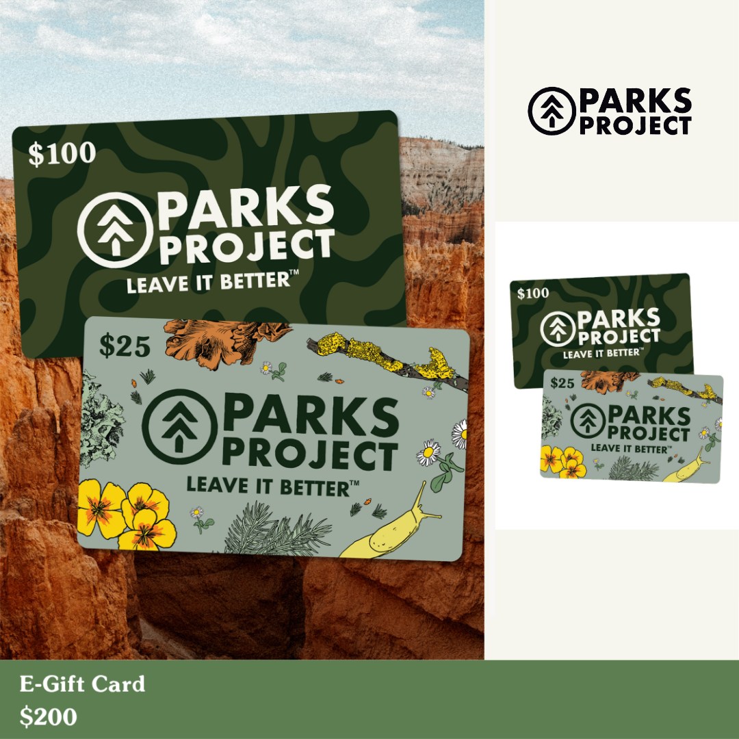 Parks Project Facebook ad