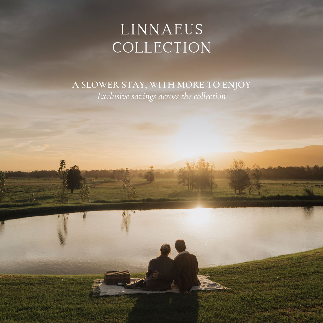 Linnaeus Collection Facebook ad: Stay Longer. Save More.
