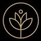 Eudemonia: Lymphatic Wellness - Flower Mound