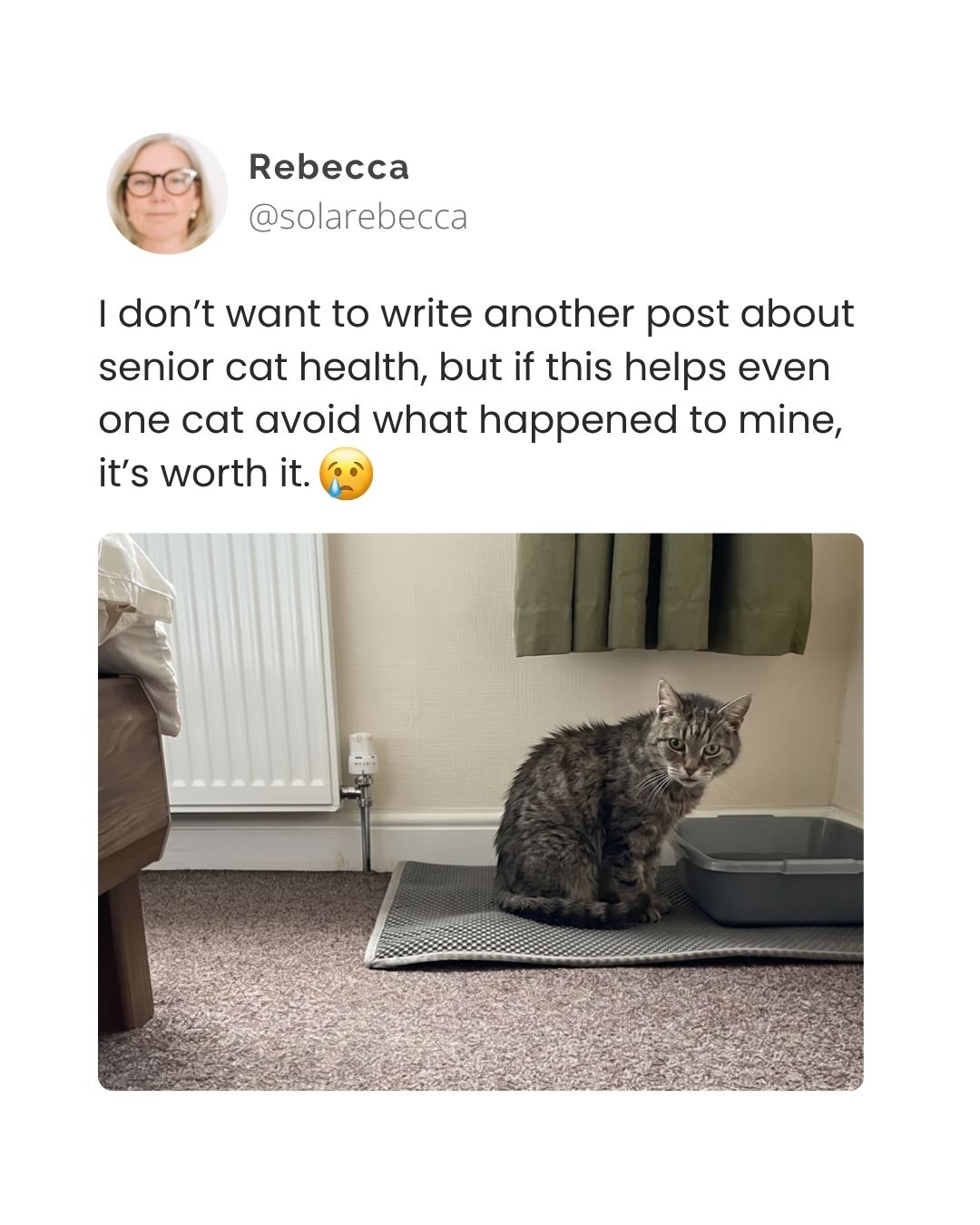 Fureeze Facebook ad: The Senior Cat Symptoms Most Owners Dismiss as Old Age