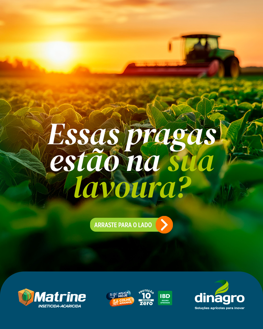 Dinagro Facebook ad