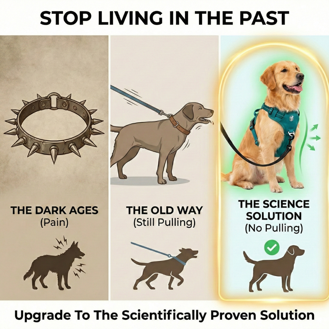 PawSafe Facebook ad