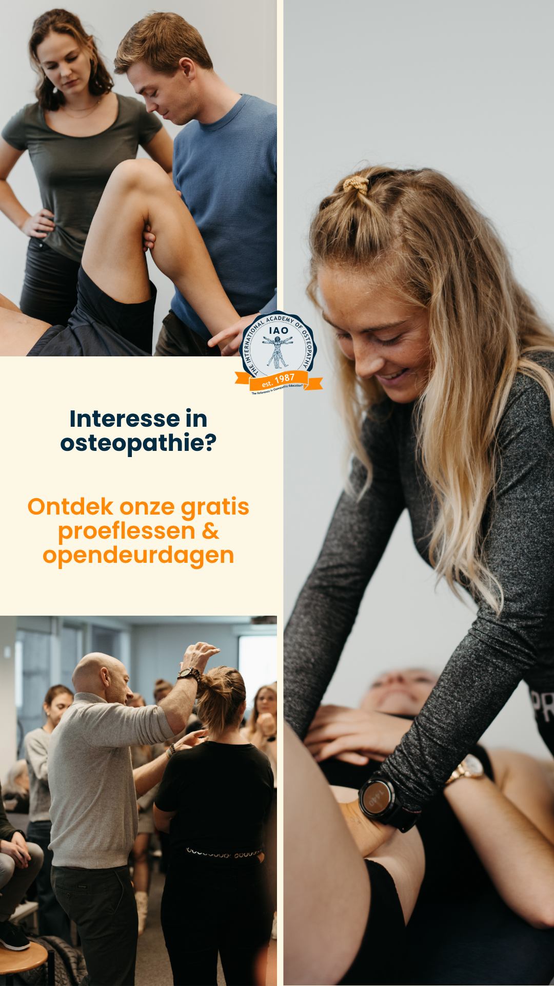 The International Academy of Osteopathy Facebook ad
