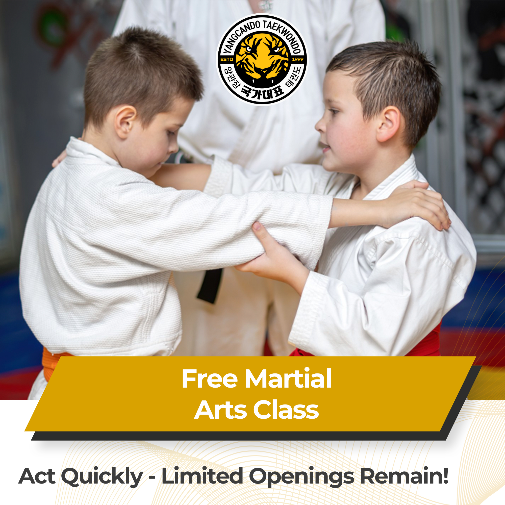 Online Taekwondo Team Facebook ad: FREE Kids Martial Arts Class