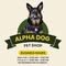 alphadogpetshop913