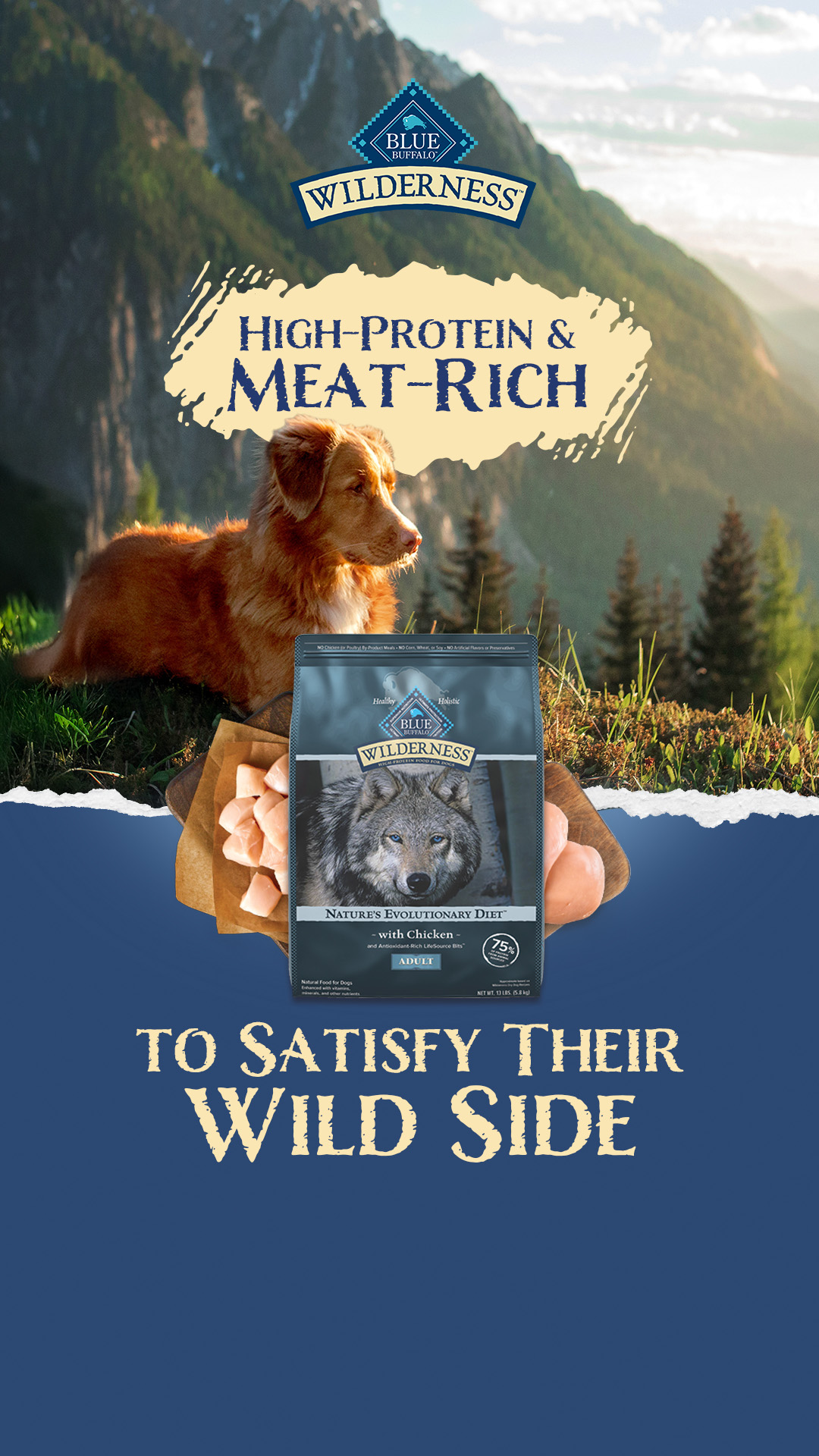 Blue Buffalo Facebook ad