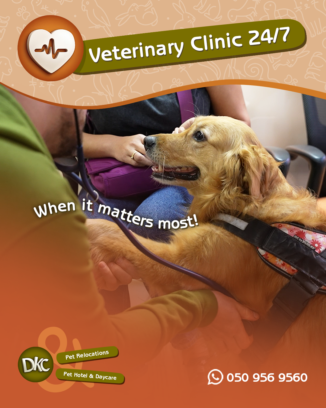 Dubai Kennels & Cattery and DKC Veterinary Clinic Facebook ad: 24/7 Vet Care in Motor City
