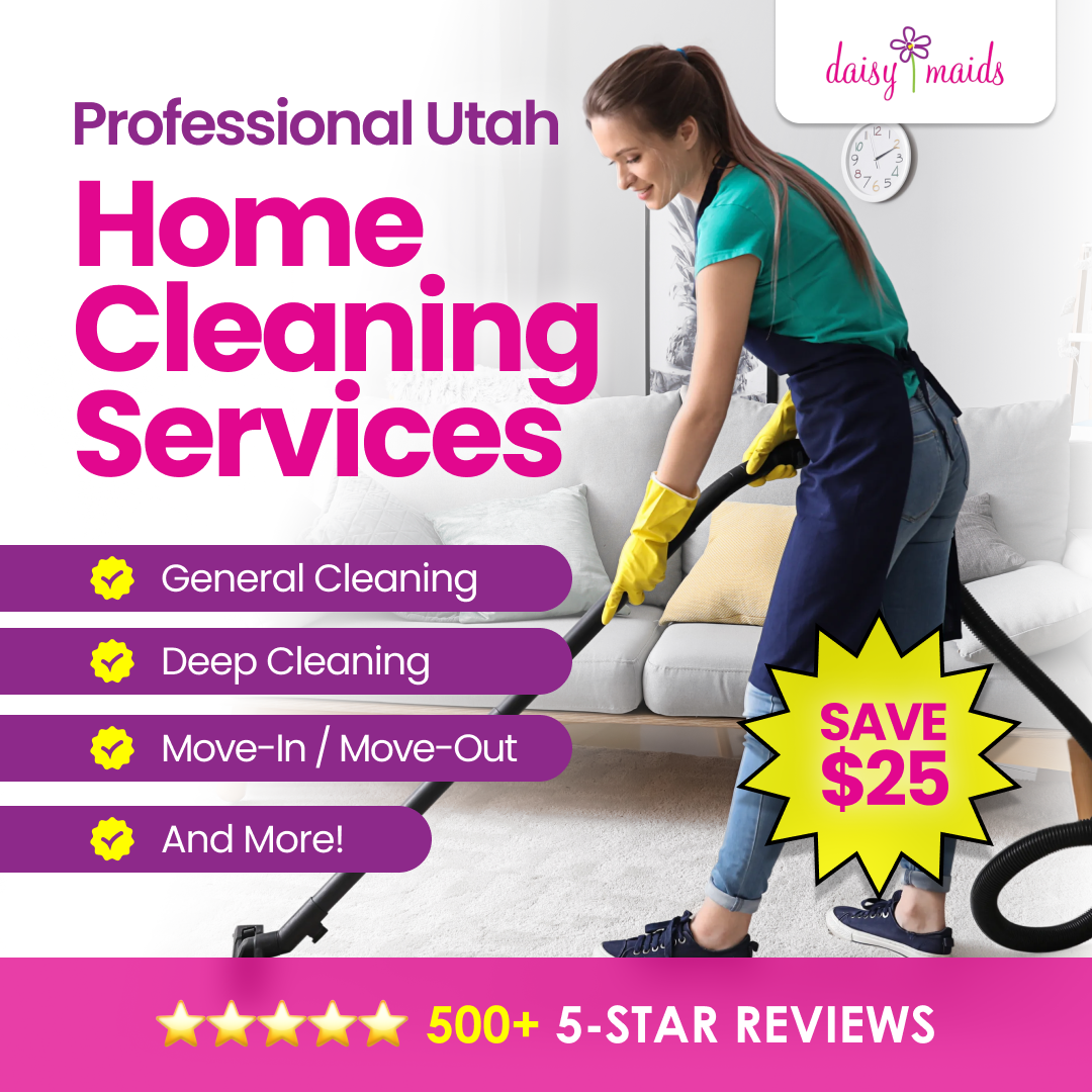 Daisy Maids Facebook ad: More Time for You-We’ve Got the Mess!
