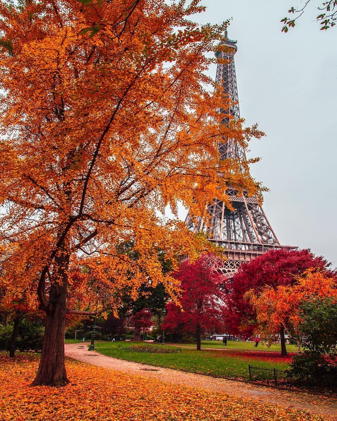 The Paris Experience Facebook ad: THE PARIS EXPERIENCE