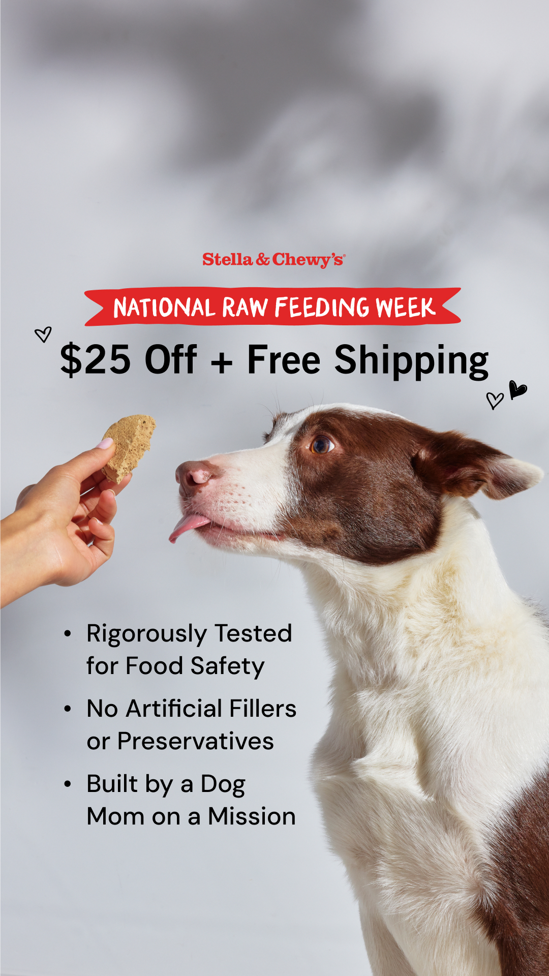 Stella & Chewy's Facebook ad