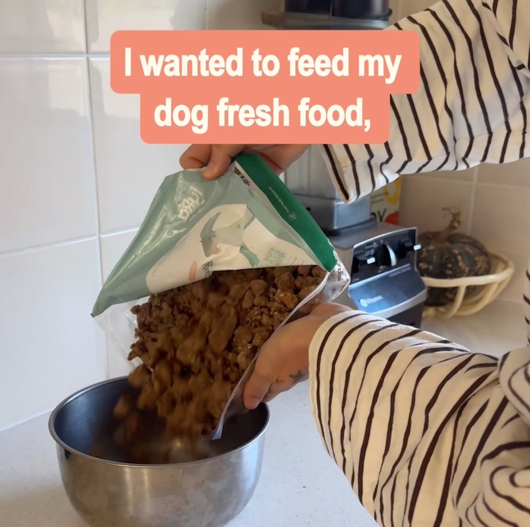 Lyka Pet Food Facebook ad from Aug 23, 2026