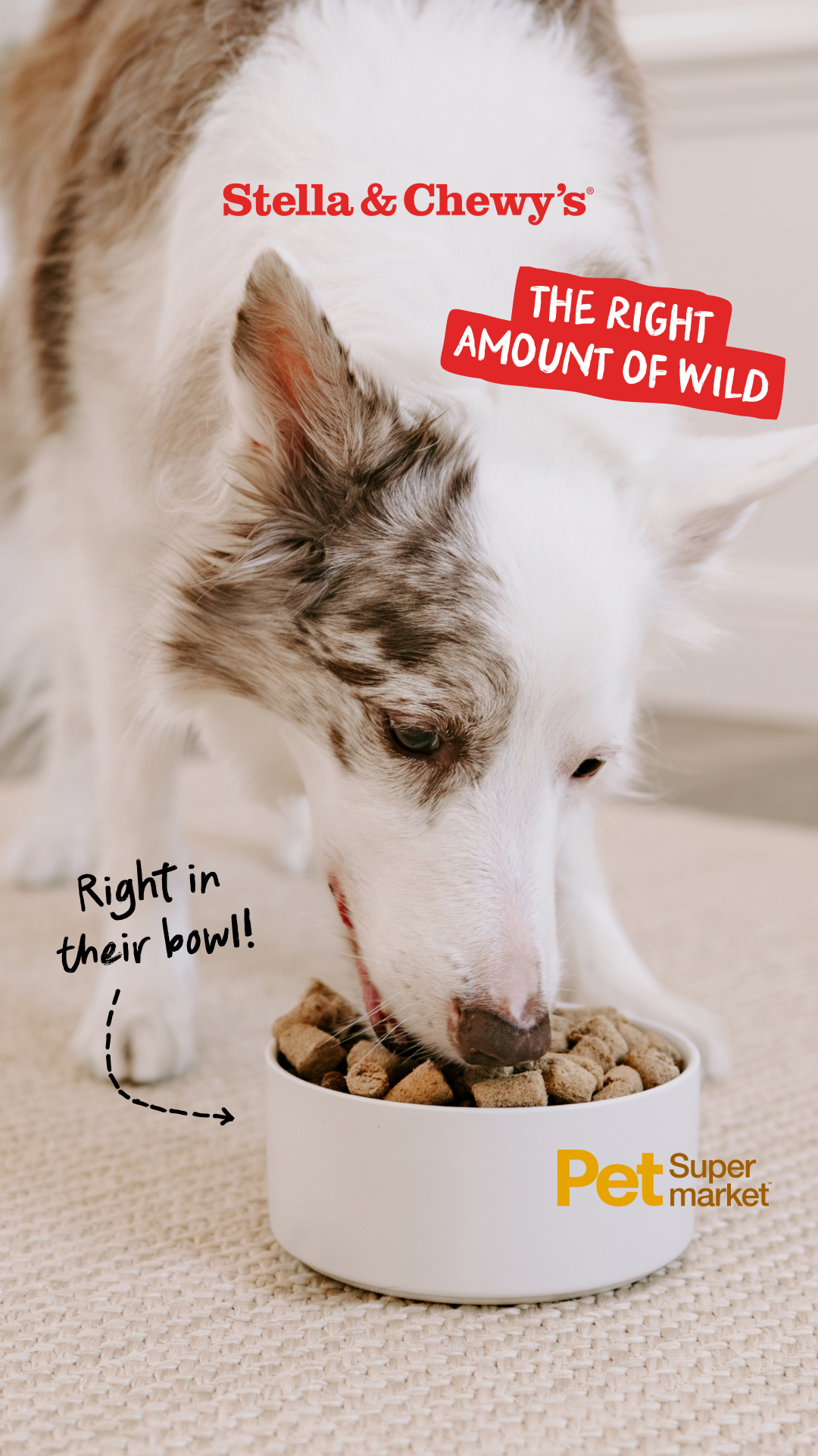 Stella & Chewy's Facebook ad