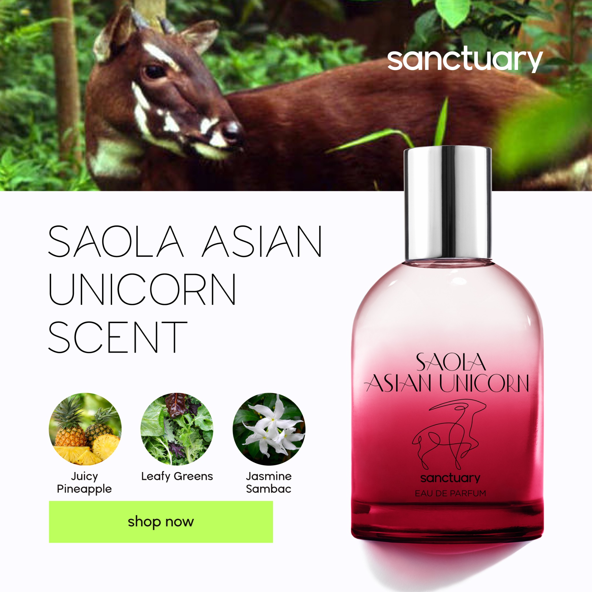 The Sanctuary Effect Facebook ad: Meet The Red Panda