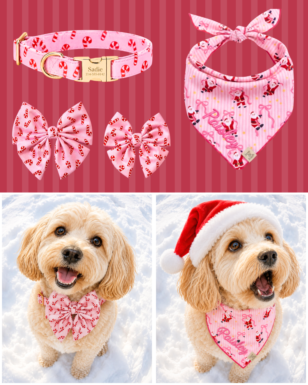 Lane&Leash Facebook ad