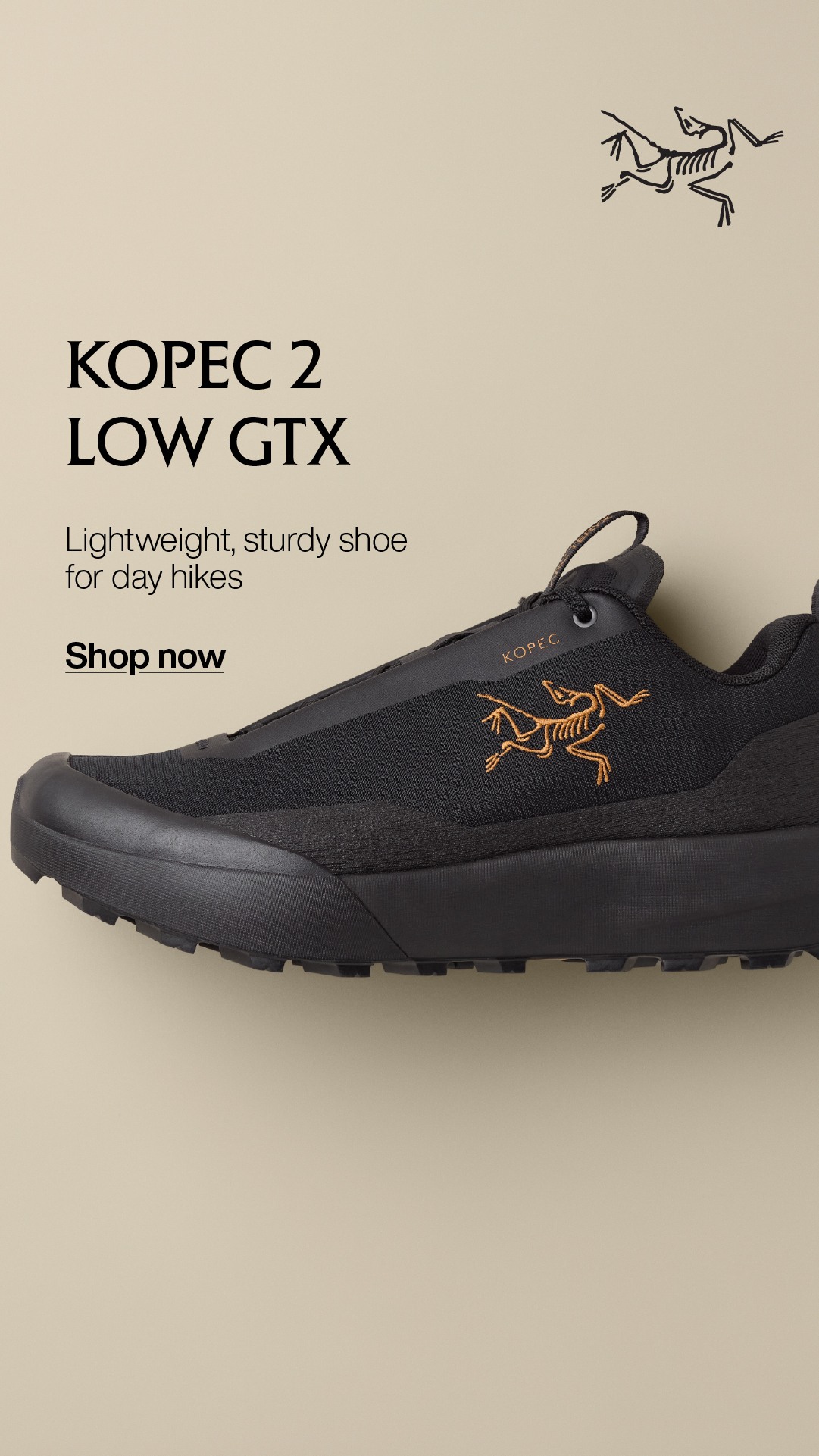 REI Facebook ad