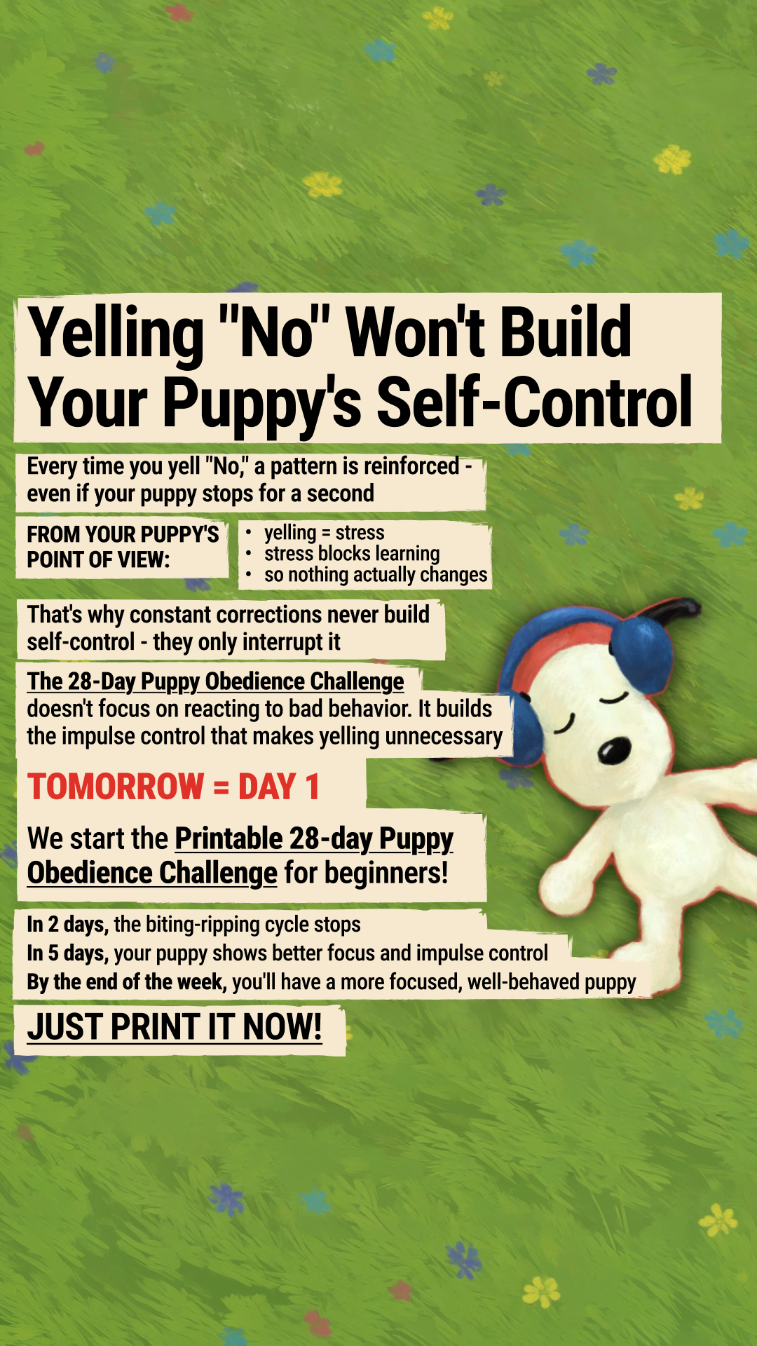 Dog Training & Tips Facebook ad