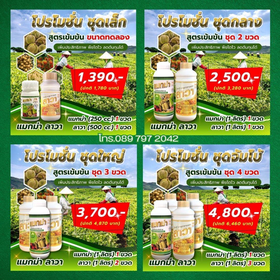 แมกม่าลาวา ตัวช่วยเกษตรกร T.089 797 2042 Facebook ad: เจ้าของสวนทุเรียน หรือสวนอื่นๆ…