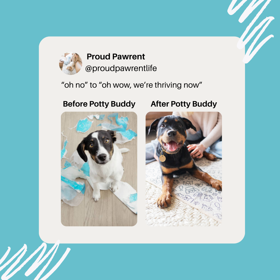 Potty Buddy Facebook ad