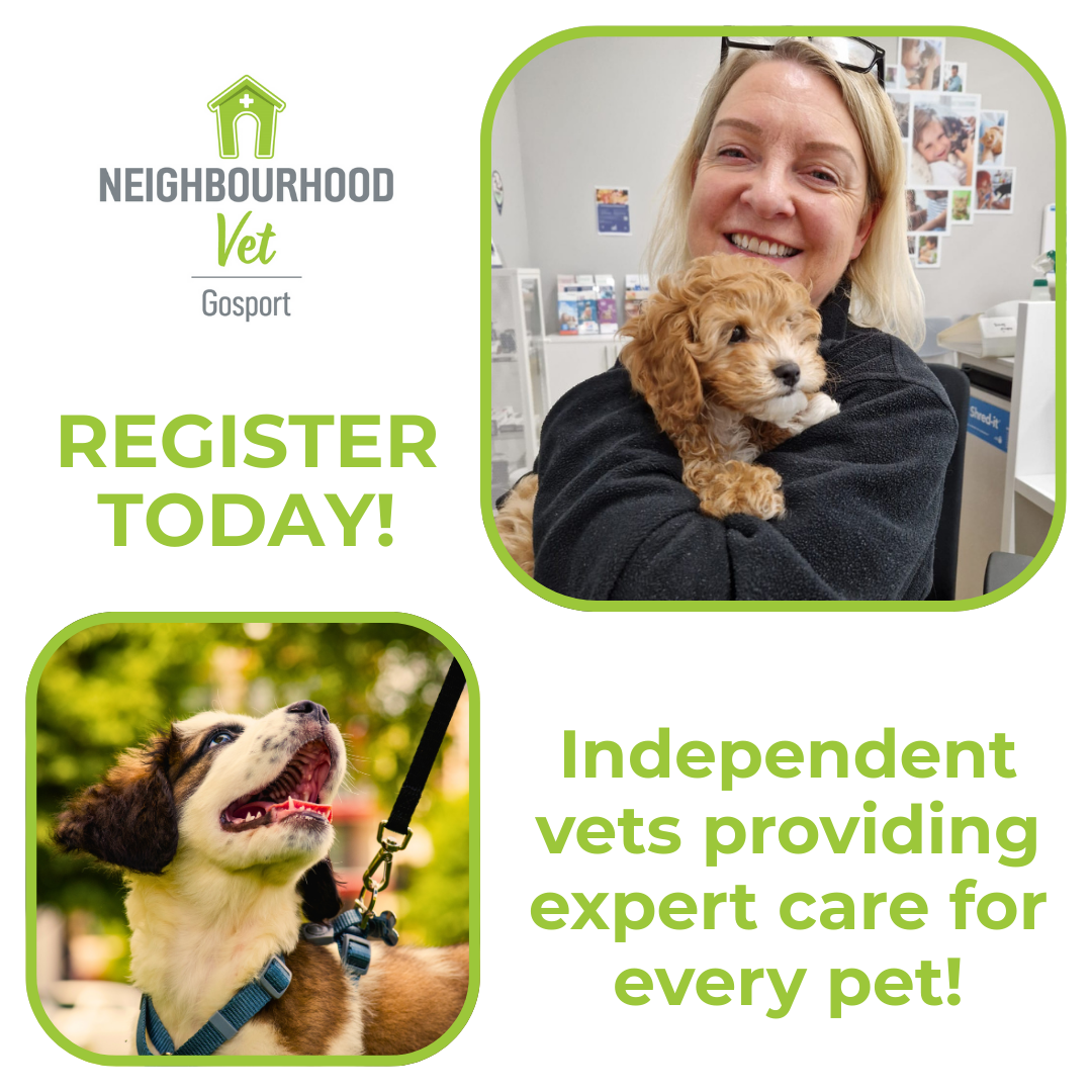 Neighbourhood Vet Gosport Facebook ad