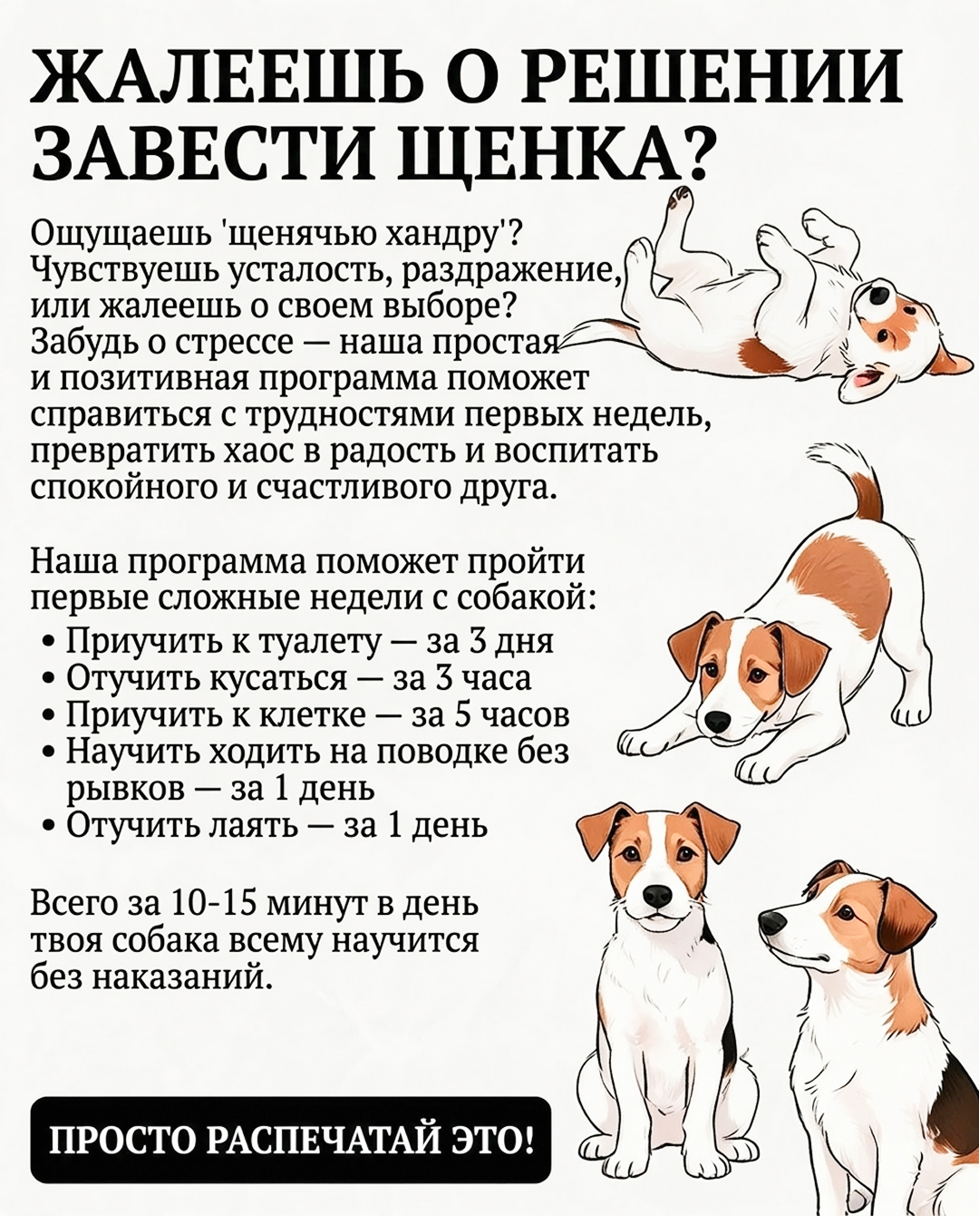 Jake Collins Facebook ad: Тренируй своего щенка с приложением №1