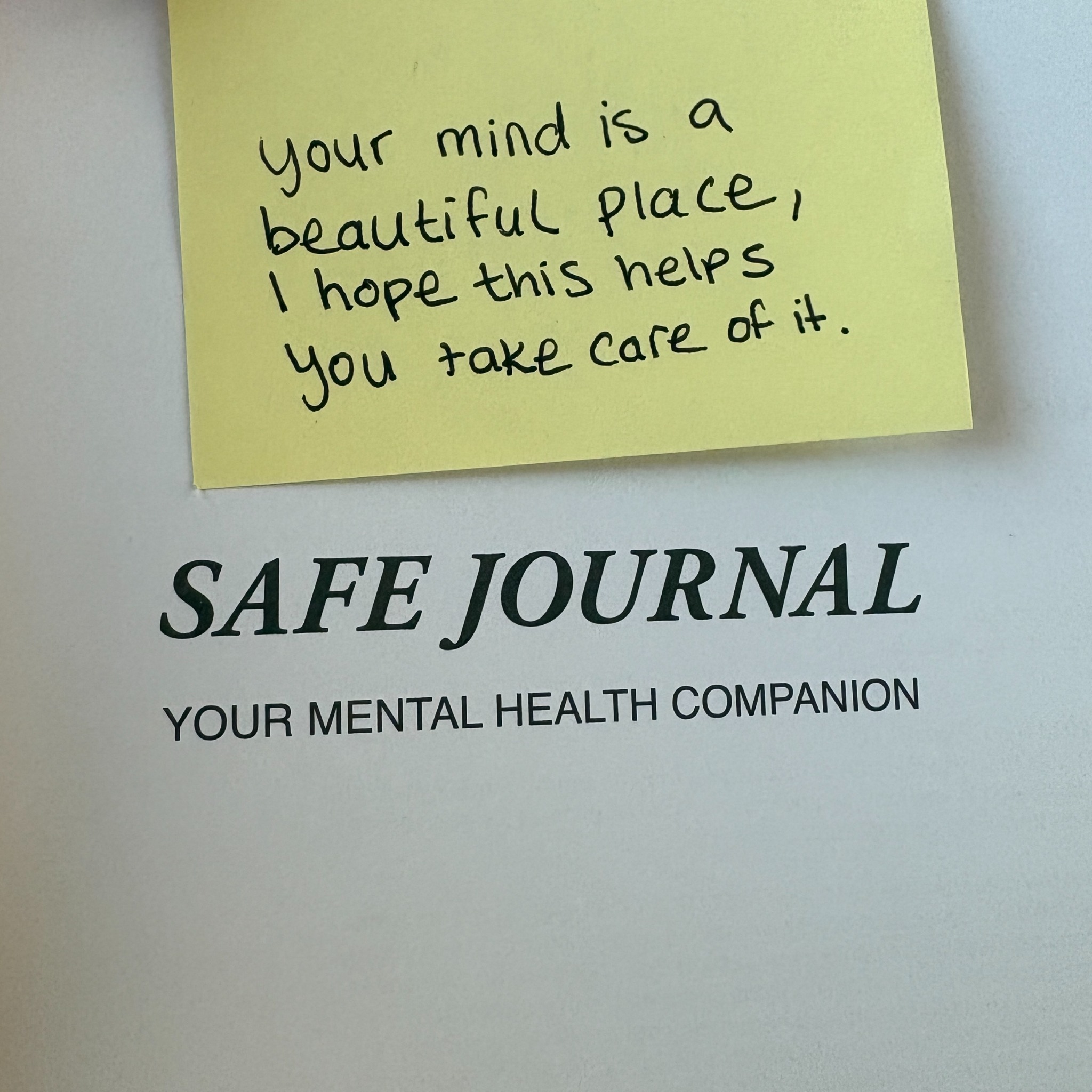 Safe Journal Facebook ad: The Journal Therapists Recommend