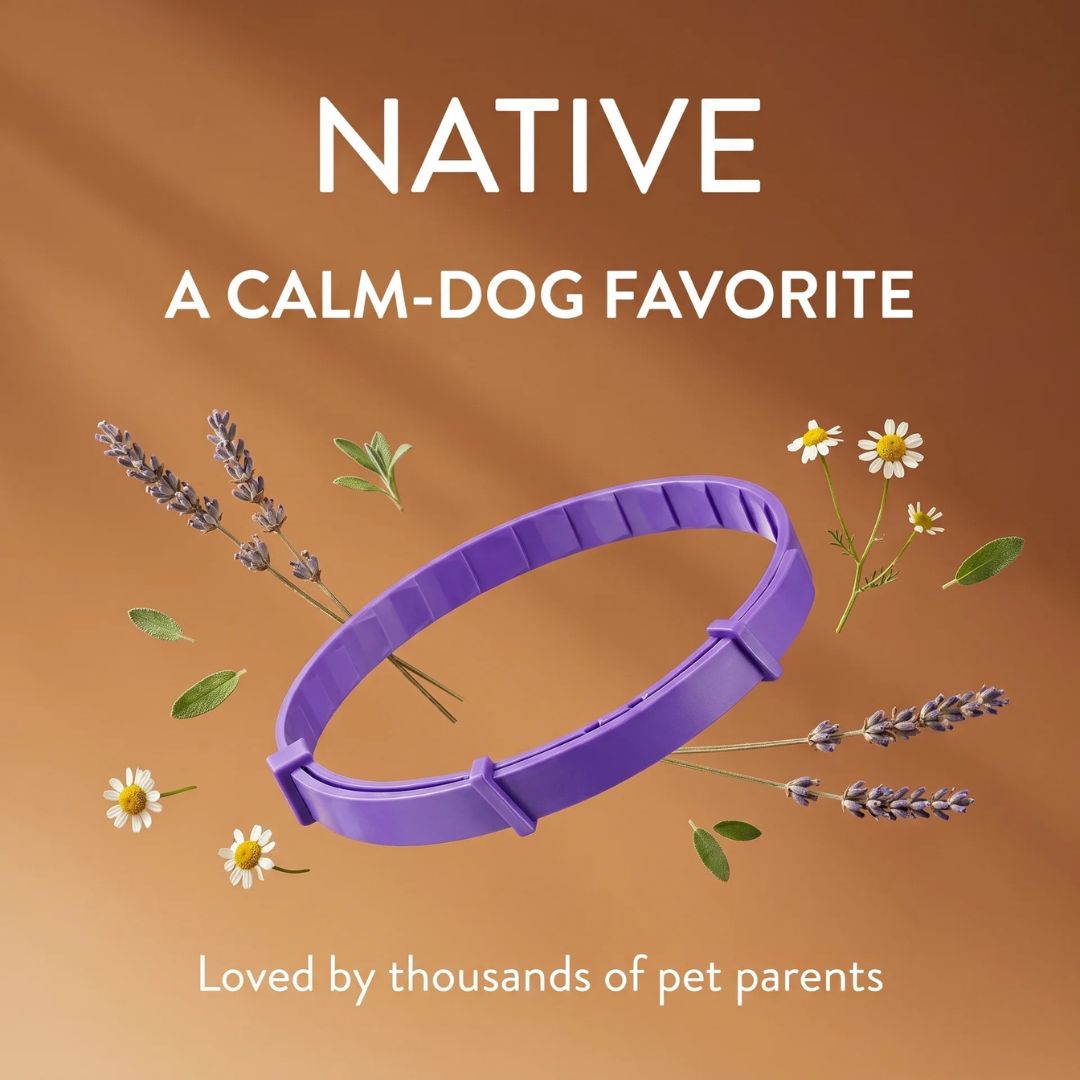 PawLax Facebook ad