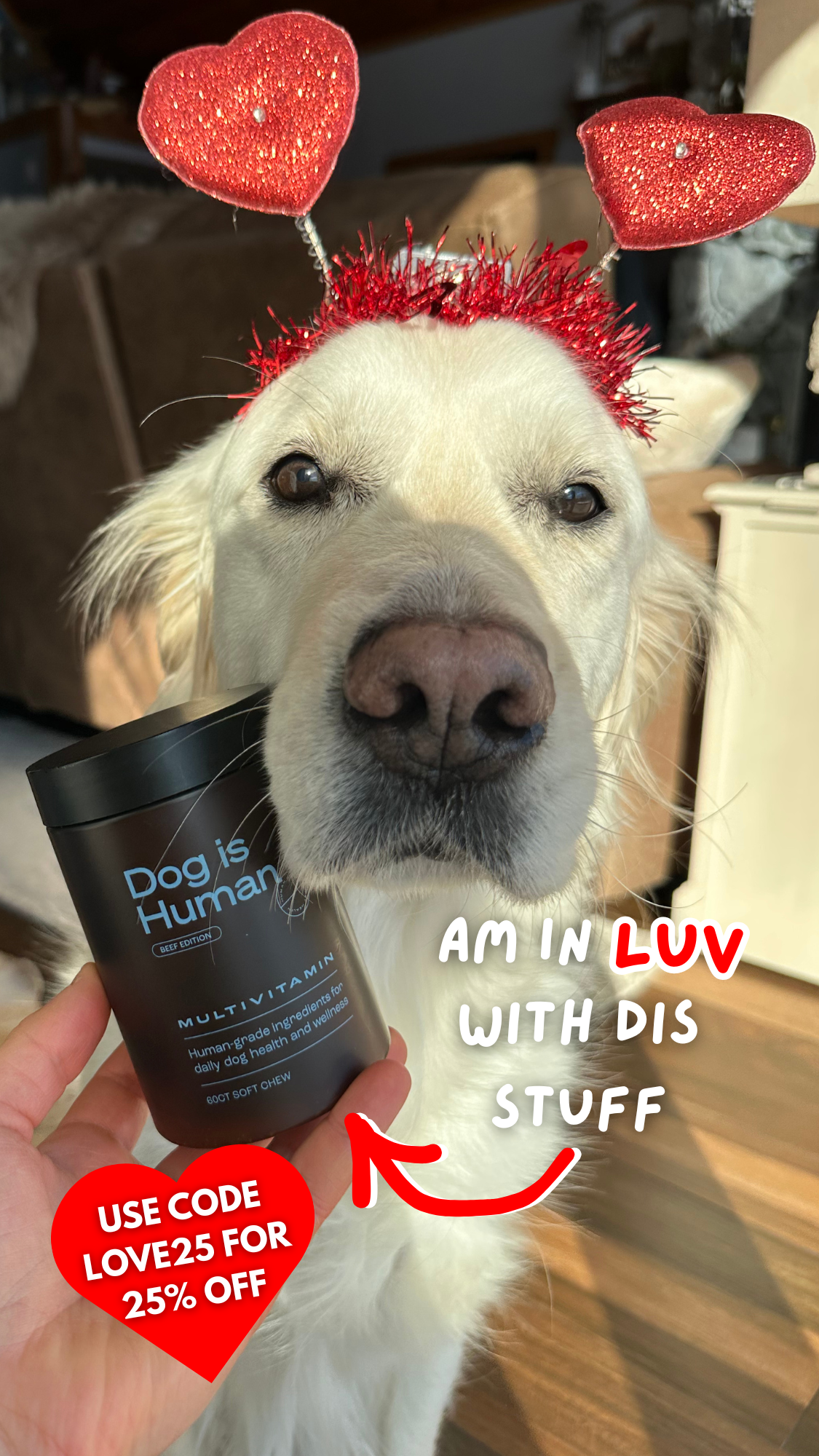 Dog is Human Facebook ad
