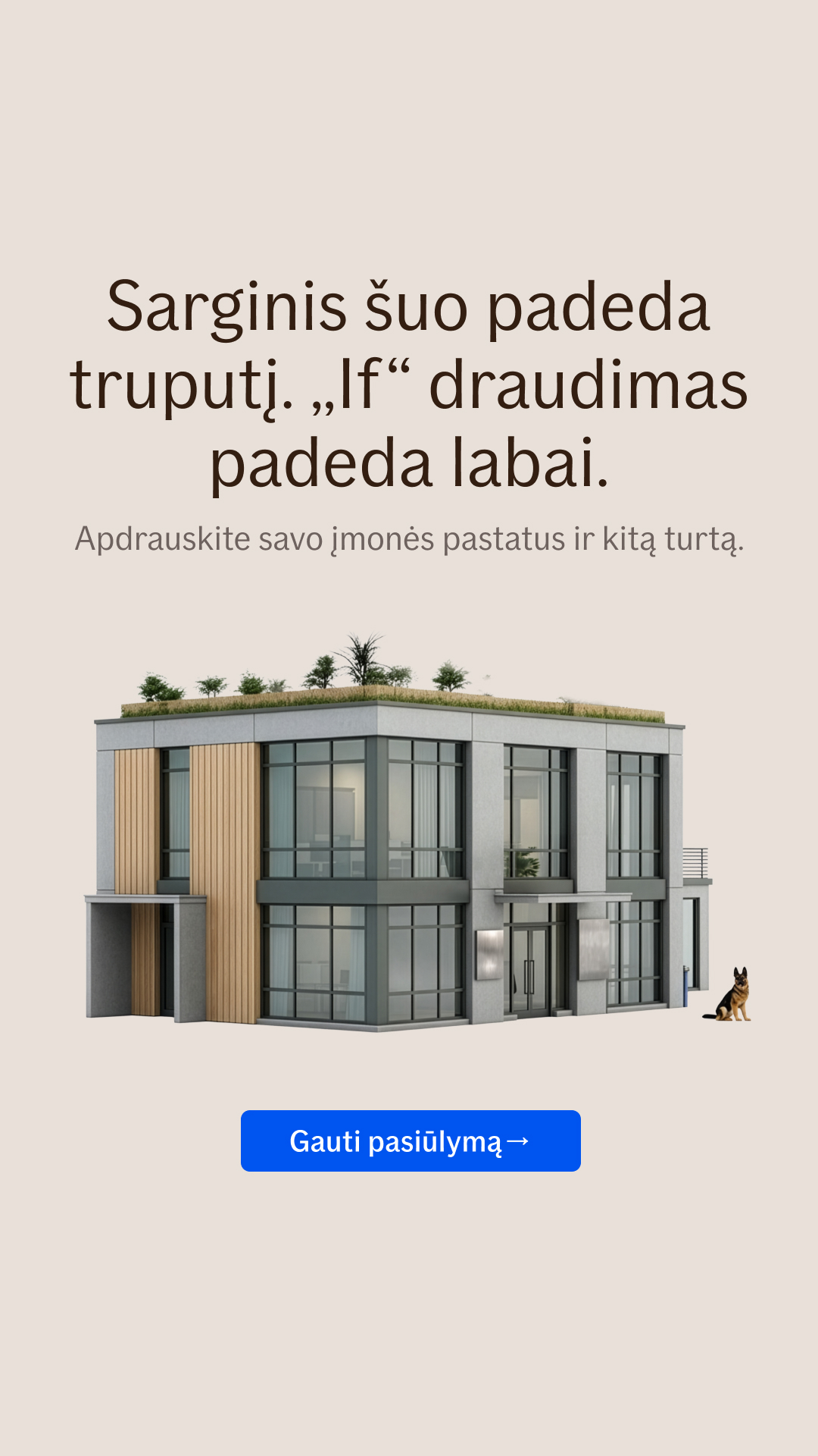 If draudimas Facebook ad from Jun 5, 2026