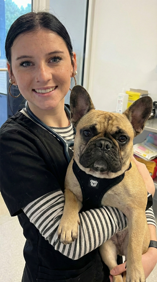 Riverside Animal Hospital Facebook ad: What switching dog foods won't fix
