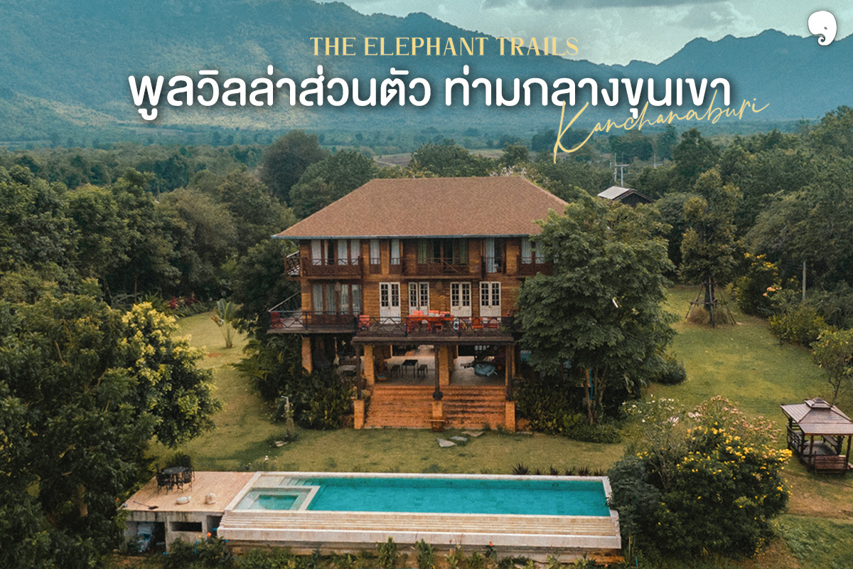 The Elephant Trails บ้านทางช้างผ่าน Facebook ad