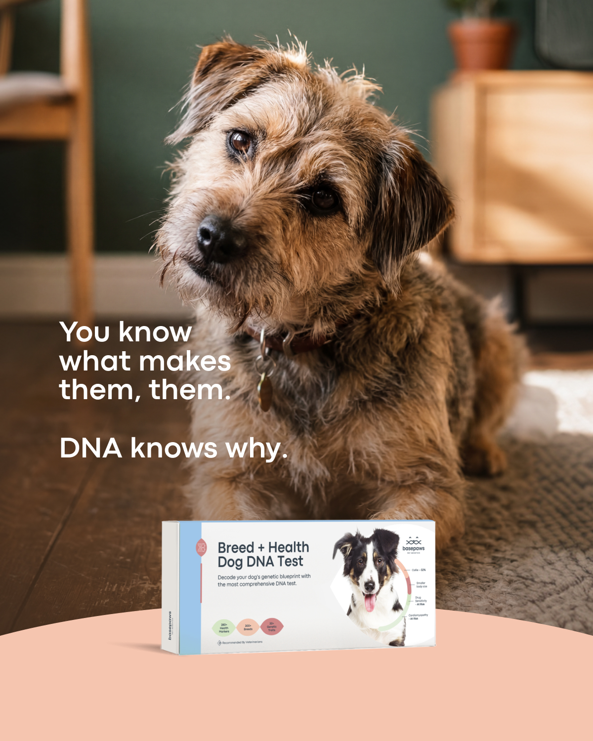 Basepaws Facebook ad from May 8, 2026