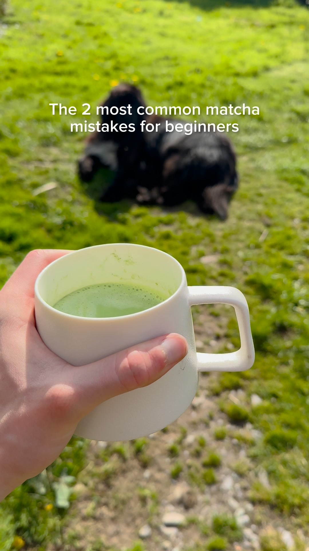 Harney & Sons Fine Teas Facebook ad