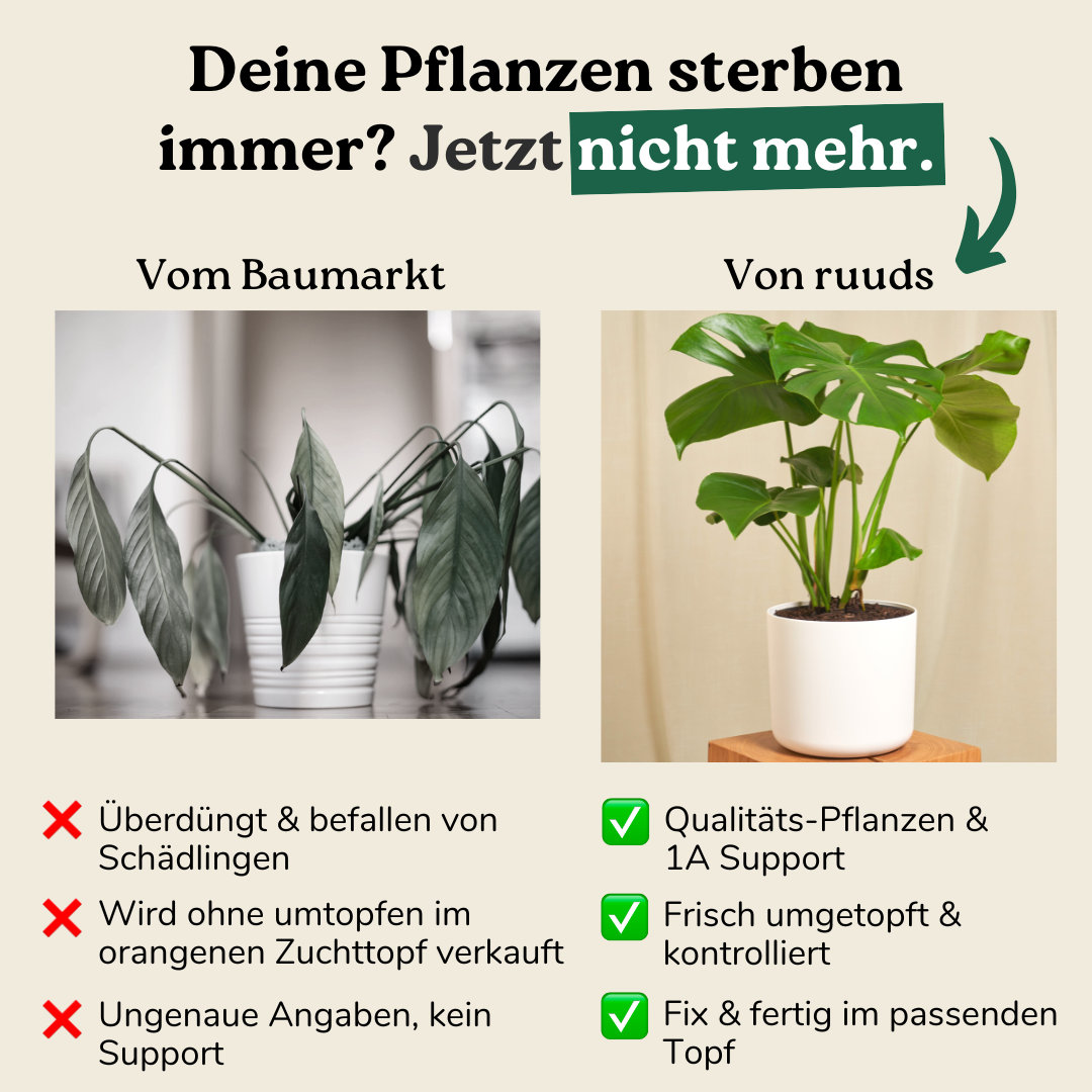 ruuds Facebook ad: Jetzt gratis passenden Topf dazu