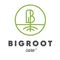 Bigrootcare