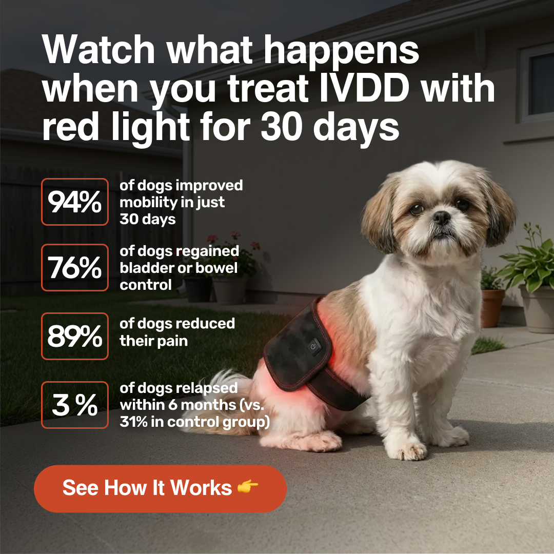 Amy's Dog Diary Facebook ad: Try PetGlow Risk-Free Today