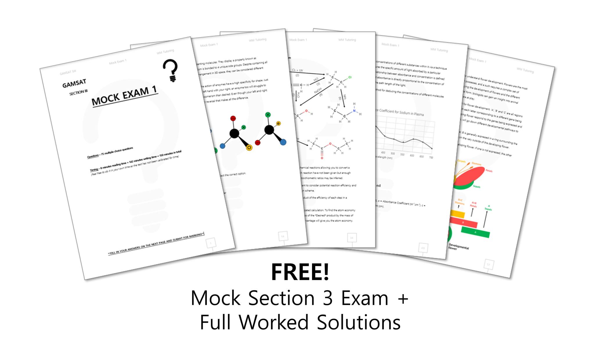 WM Tutoring Facebook ad: FREE GASMAT S3 Exam + Solutions