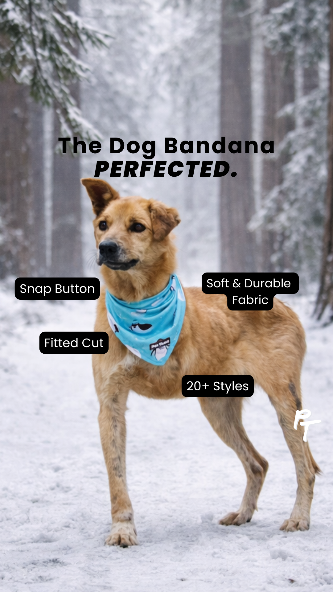 Pink Tongue Bandanas Facebook ad