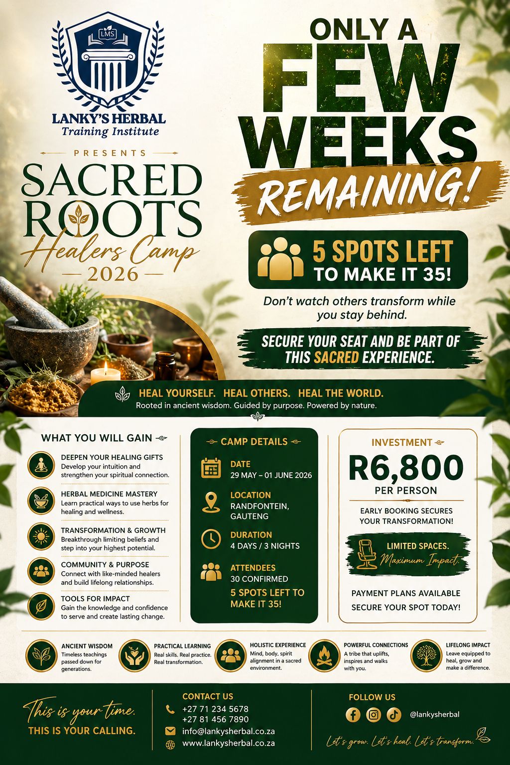 Morena Chophola Facebook ad: SACRED ROOTS HEALERS CAMP 2026, GAUTENG