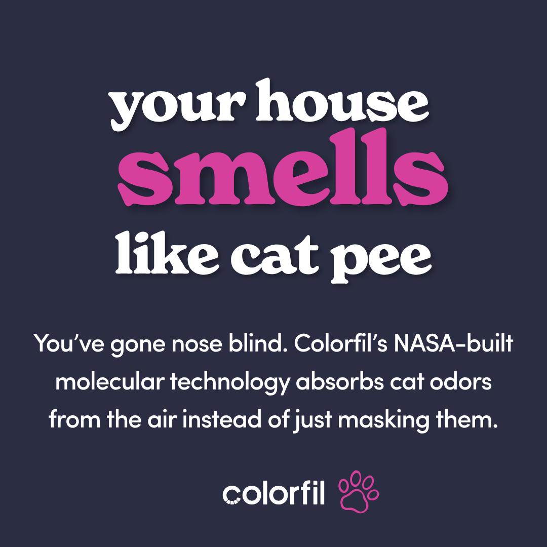Colorfil Facebook ad