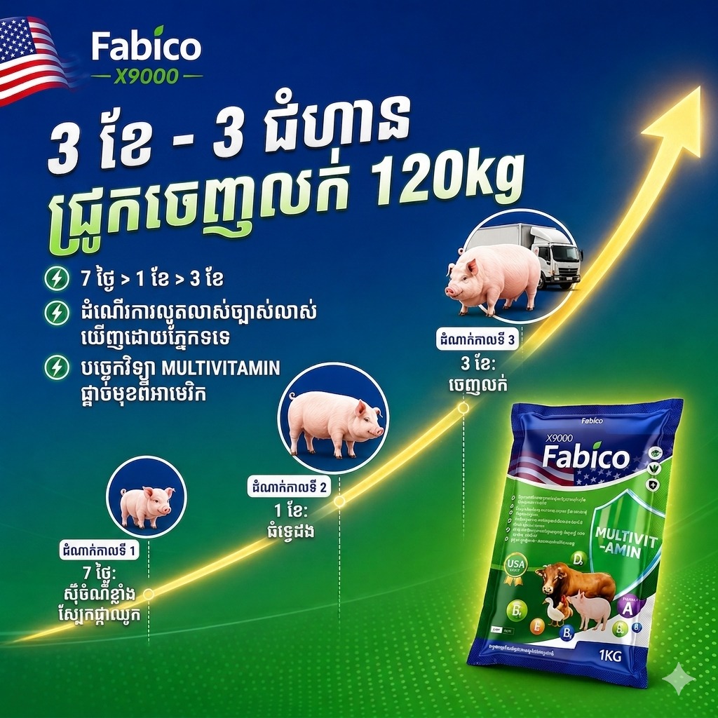 Fabico Cambodia Facebook ad: ដំណើរការ 3 ខែនៃការចិញ្ចឹមជ្រូកឱ្យសម្រេចបានស្តង់ដារចេញលក់