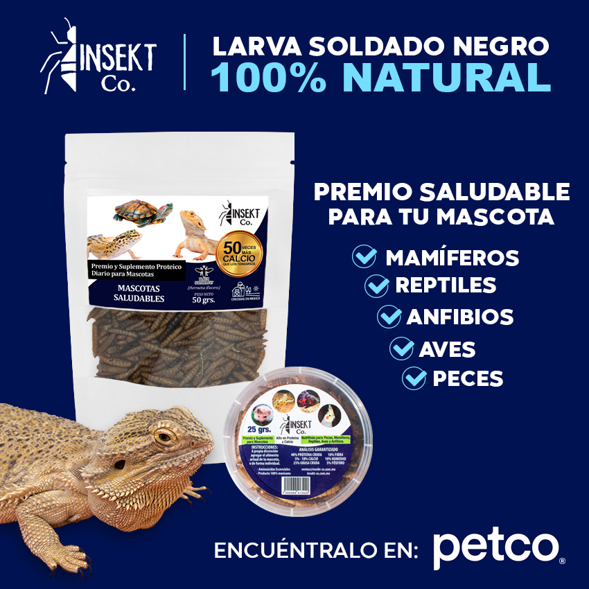Insekt Co. Mascotas Facebook ad: ¿Ya conoces el premio que tu mascota amará?