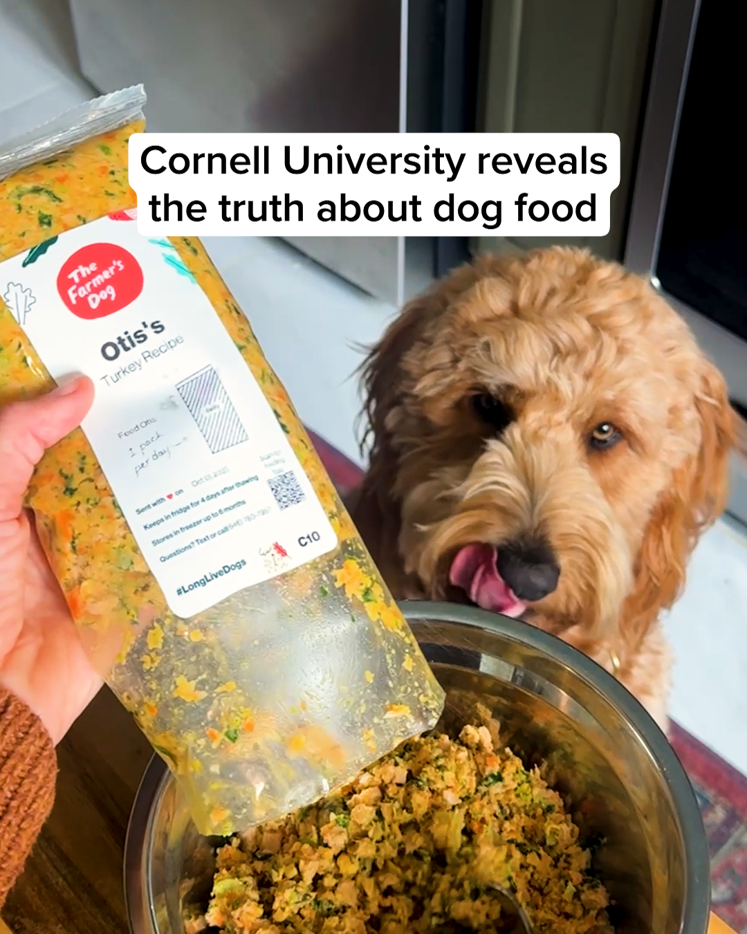 The Farmer's Dog Facebook ad