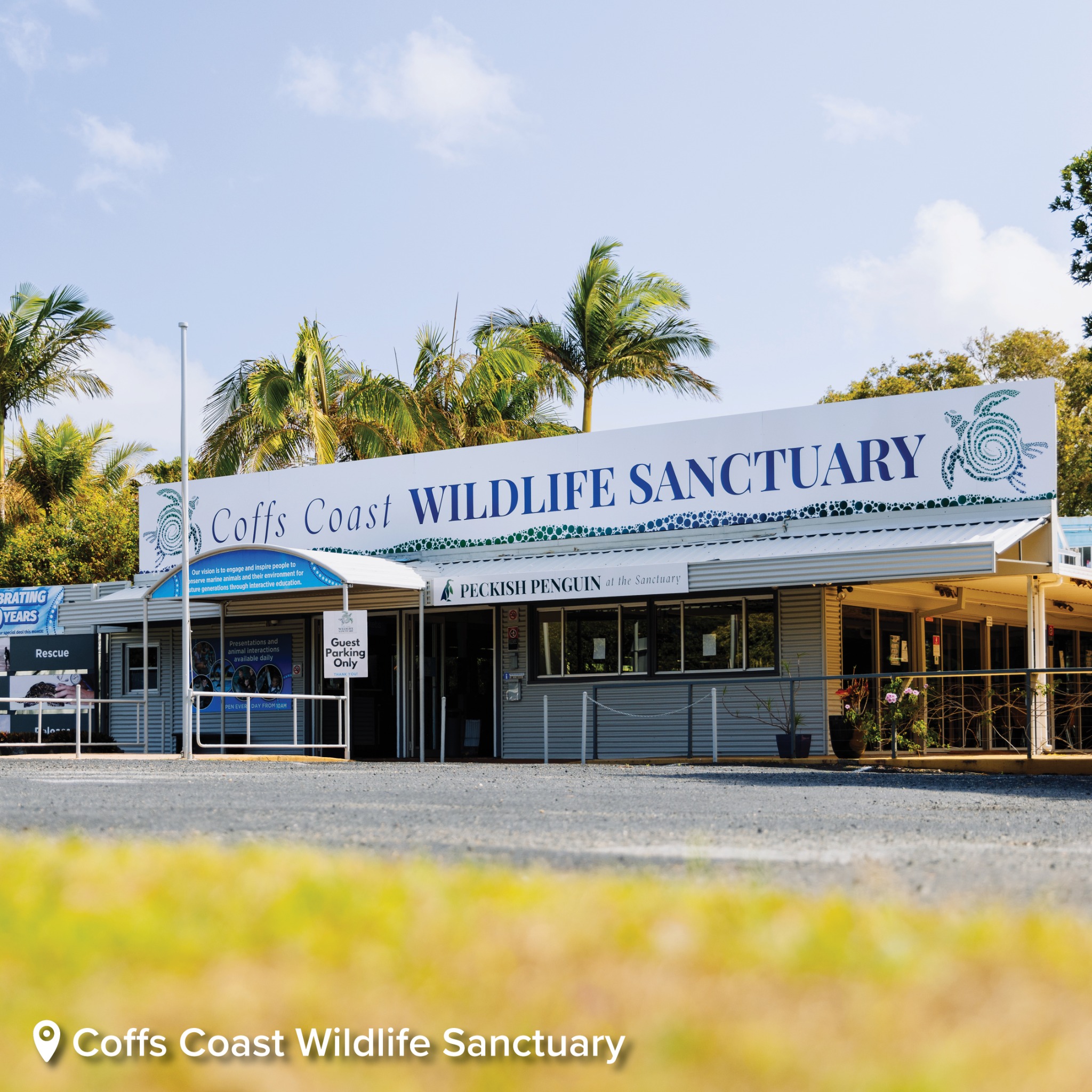 Coffs Coast Facebook ad: Plan your trip like a local with the…