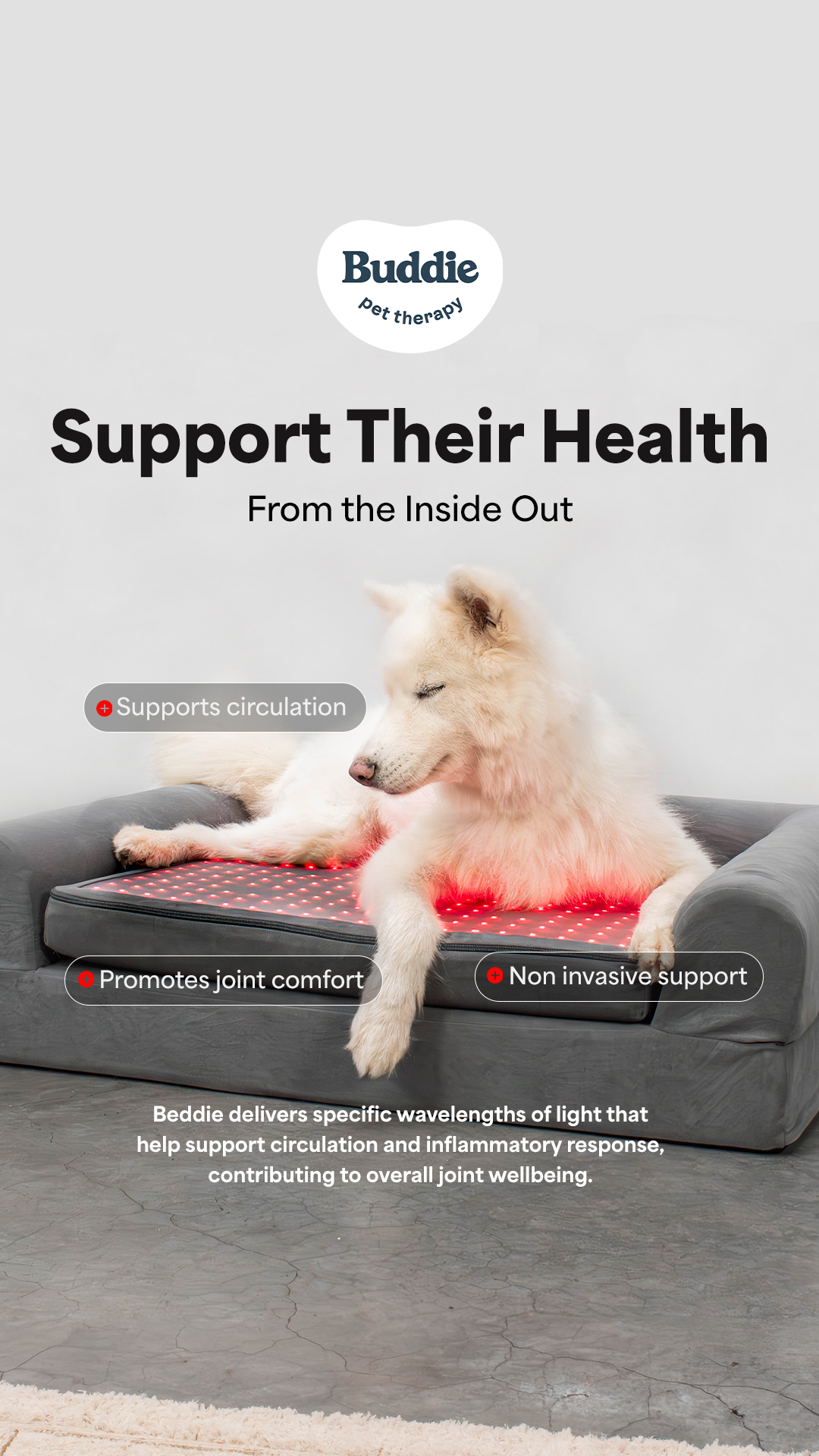 Buddie Pet Therapy Facebook ad