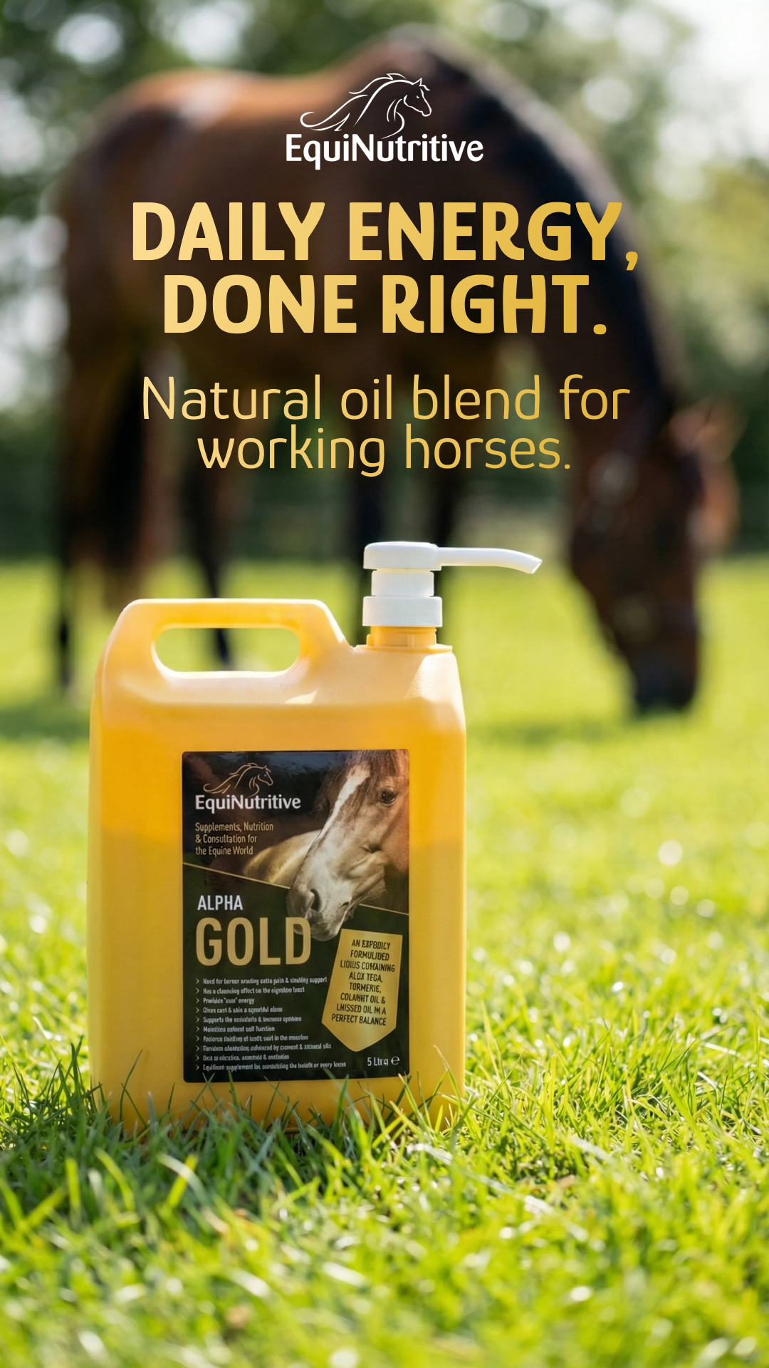 EquiNutritive Facebook ad