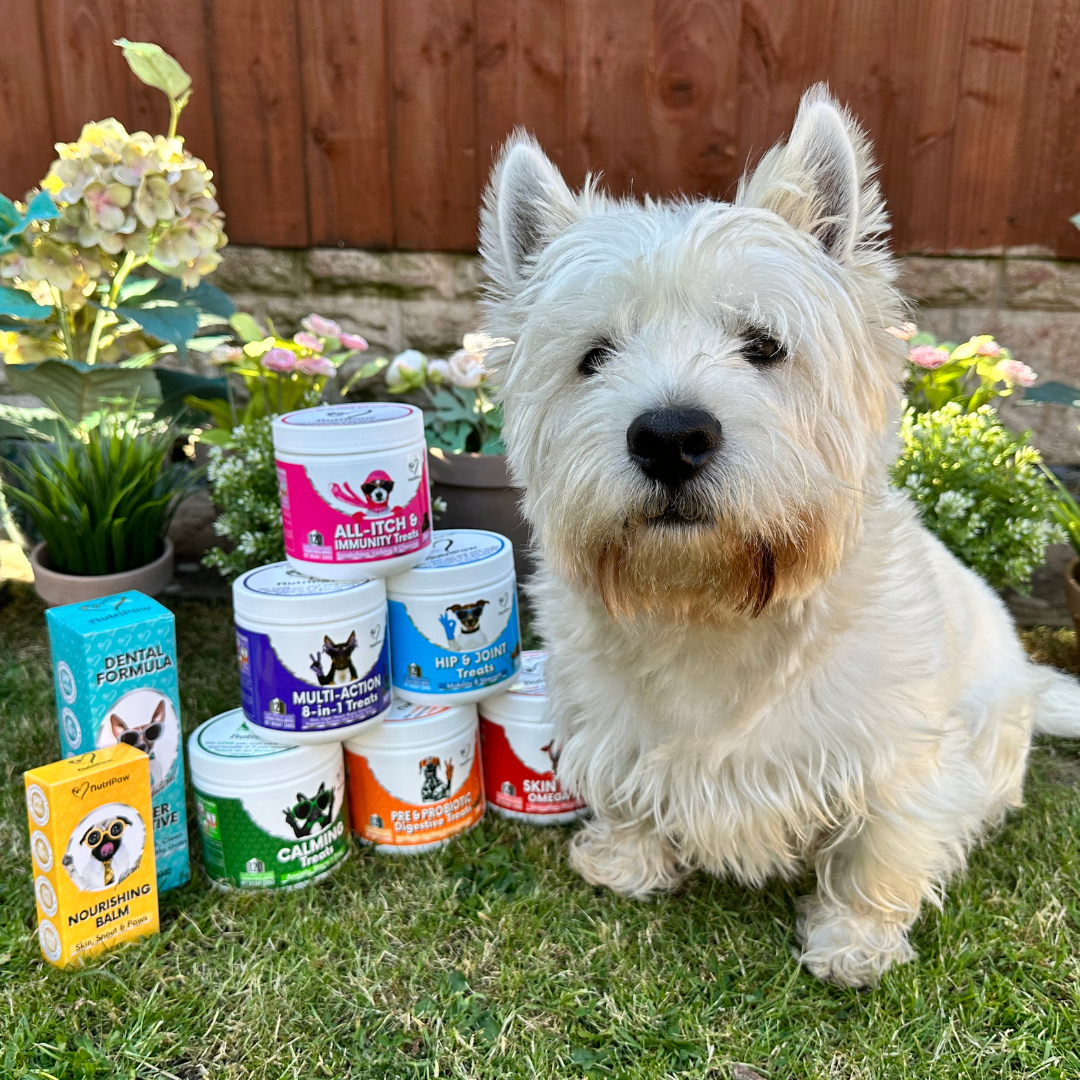 Nutri Paw Facebook ad