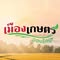 บริษัท เมืองเกษตร จำกัด ขายส่ง-ปลีก ปุ๋ย ยา เคมีเกษตร จัดส่งฟรีทั่วประเทศ