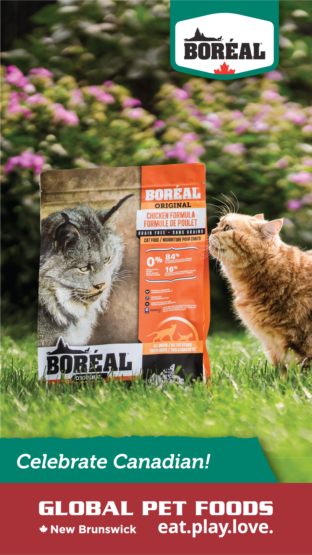 Boréal Pet Food Facebook ad